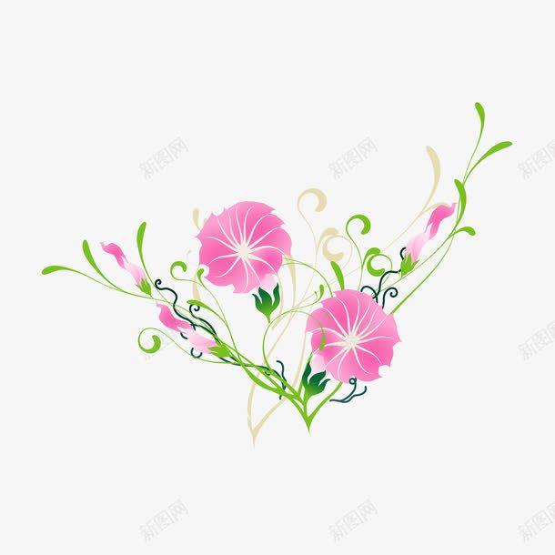 牵牛花唯美图案元素png免抠素材_新图网 https://ixintu.com 唯美 图案 图案元素 牵牛花 牵牛花唯美图案元素