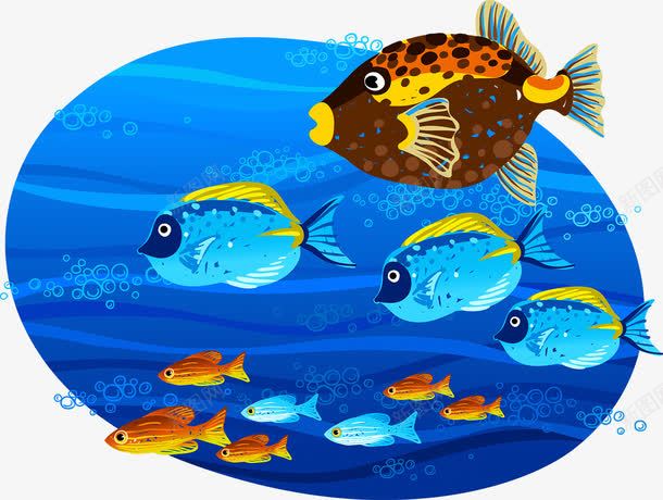鱼群png免抠素材_新图网 https://ixintu.com 海鱼 鱼类 鱼群