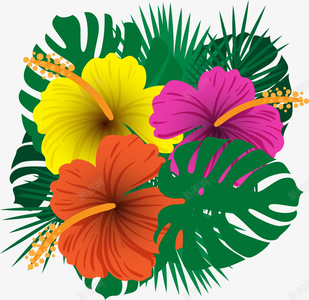 夏日花朵芭蕉叶装饰矢量图eps免抠素材_新图网 https://ixintu.com 夏日花朵 彩色花朵 矢量素材 芭蕉叶 针叶 矢量图