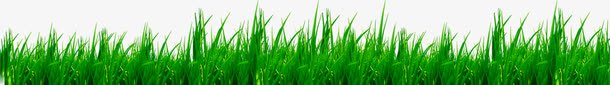 绿色春天草地植物儿童png免抠素材_新图网 https://ixintu.com 儿童 春天 植物 绿色 草地
