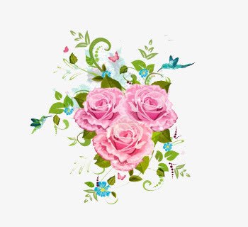 唯美清新粉色玫瑰花png免抠素材_新图网 https://ixintu.com 唯美 清新 玫瑰花 粉色玫瑰 花朵