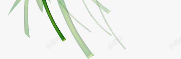 浓情相约气泡玻璃气泡png免抠素材_新图网 https://ixintu.com 气泡 浓情 玻璃 相约