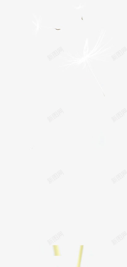 合成创意白色对的蒲公英png免抠素材_新图网 https://ixintu.com 创意 合成 白色 蒲公英