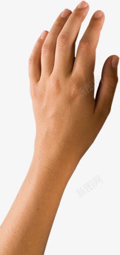 摄影实物拍摄手png免抠素材_新图网 https://ixintu.com 实物 拍摄 摄影