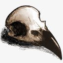 鹰嘴骨头png免抠素材_新图网 https://ixintu.com 插画 简笔画 组织 骨头 骨骼铅笔画