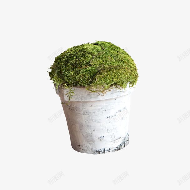 水桶小草png免抠素材_新图网 https://ixintu.com 小草 水桶 草 草堆
