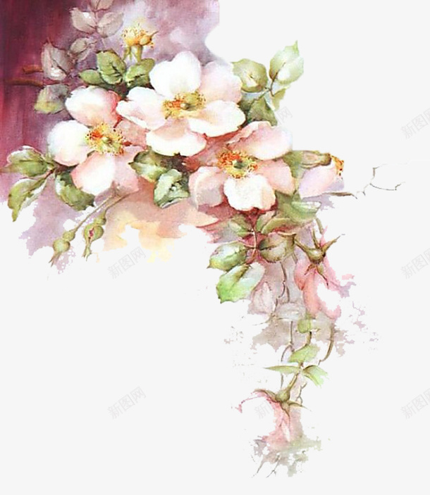 深渊中的花png免抠素材_新图网 https://ixintu.com 手绘 树叶 树枝 植物 花卉 花朵