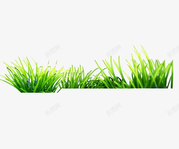 绿色草的图案png免抠素材_新图网 https://ixintu.com 底边装饰 植物 绿色 草 装饰图案