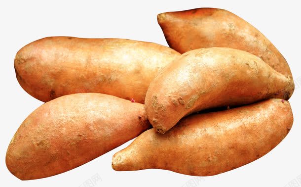 红色饱满番薯png免抠素材_新图网 https://ixintu.com 产品实图 番薯 红色 饱满
