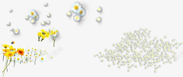 黄色鲜花和一簇鲜花png免抠素材_新图网 https://ixintu.com 鲜花 黄色