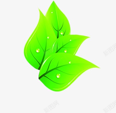 绿色手绘卡通脉络树叶png免抠素材_新图网 https://ixintu.com 卡通 树叶 绿色 脉络