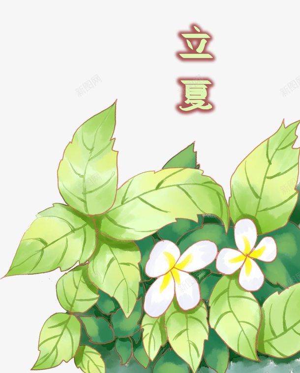 手绘装饰插图立夏节气插画png免抠素材_新图网 https://ixintu.com 二十四节气 手绘 插画 植物插图 立夏 装饰插图