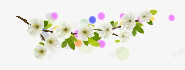 白色杏花png免抠素材_新图网 https://ixintu.com 白色杏花 矢量花朵矢量 花卉