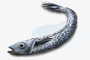 鳕鱼鱼维京的图标png免抠素材_新图网 https://ixintu.com FISH cod 鱼 鳕鱼