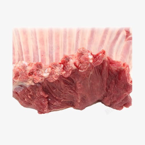 草原羔羊肉新鲜烧烤肋排草原羔png免抠素材_新图网 https://ixintu.com 产品实物 新鲜 烧烤肋排 羊排