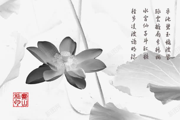 水墨荷花png免抠素材_新图网 https://ixintu.com 中国风 水墨 水墨荷花 荷花