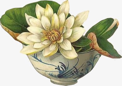 手绘立体碗中白色花png免抠素材_新图网 https://ixintu.com 白色 立体