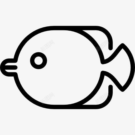 鱼图标png_新图网 https://ixintu.com 动物 水下 海 海洋 翅片