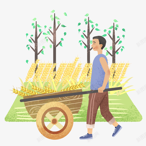 芒种夏天节日psd免抠素材_新图网 https://ixintu.com 夏天 收割 芒种 麦穗