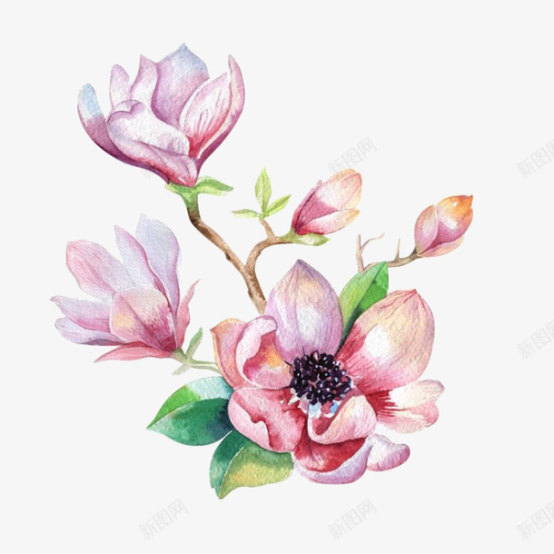 手绘水彩绘画粉嫩花卉绿叶png免抠素材_新图网 https://ixintu.com 手绘 水彩 粉嫩 绘画 绿叶 花卉