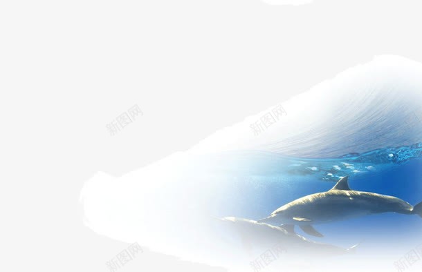剪影画鱼png免抠素材_新图网 https://ixintu.com 剪影画鱼 半透明 插画