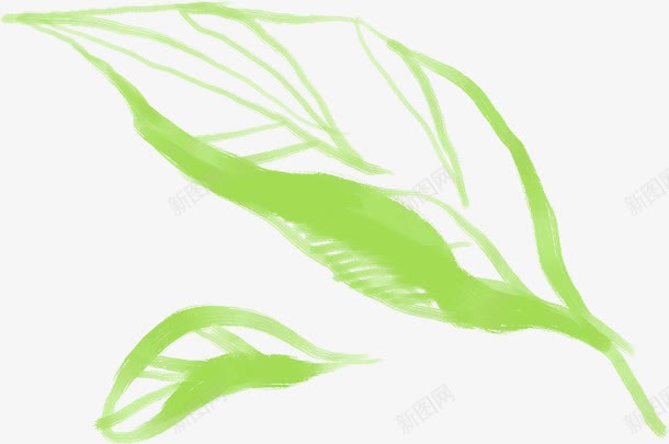 手绘绿色叶子插画png免抠素材_新图网 https://ixintu.com 叶子 插画 素材 绿色