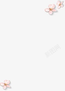 摄影花朵海报效果活动图png免抠素材_新图网 https://ixintu.com 摄影 效果 活动 海报 花朵