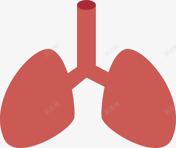 人体的红色肺部器官png免抠素材_新图网 https://ixintu.com 健康 卡通 器官 生物医药 生物医药产业 生物医药展板 生物医药广告 生物医药整容