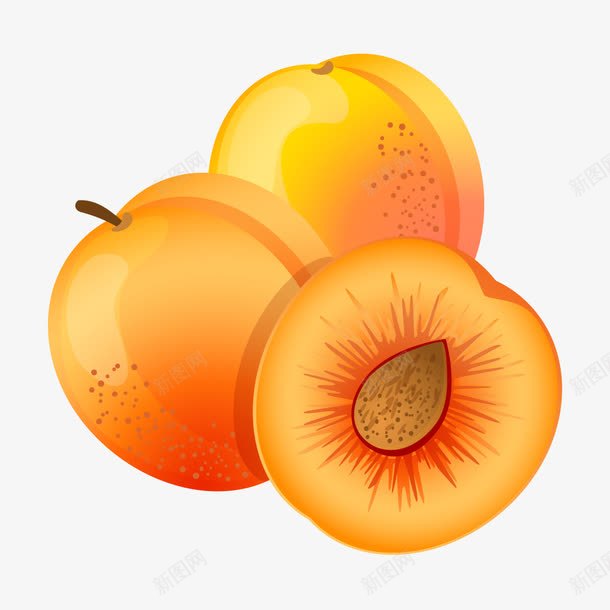卡通杏png免抠素材_新图网 https://ixintu.com 免费png素材 手绘 水果 黄杏