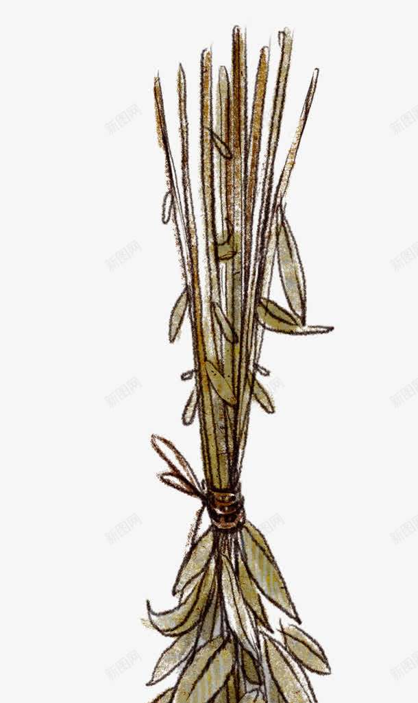 手绘一束花png免抠素材_新图网 https://ixintu.com 一束花 植物 漂亮的花 花