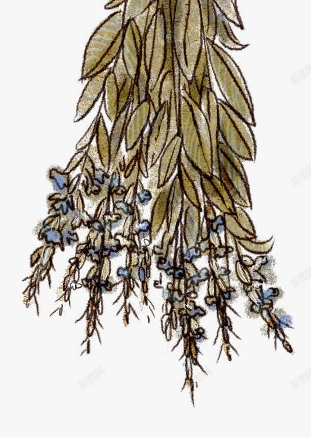 手绘一束花png免抠素材_新图网 https://ixintu.com 一束花 植物 漂亮的花 花