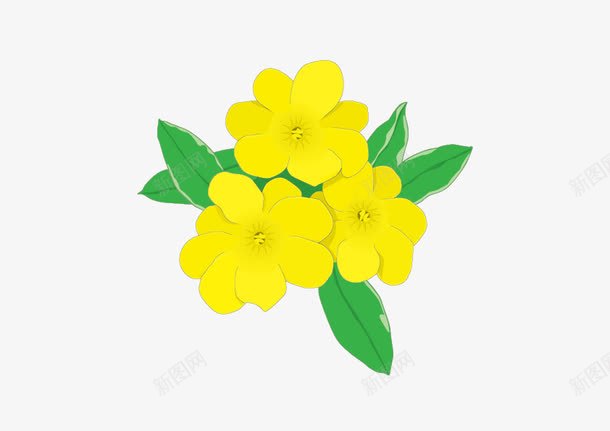 黄花绿叶png免抠素材_新图网 https://ixintu.com 三朵 绿叶 黄色 黄花