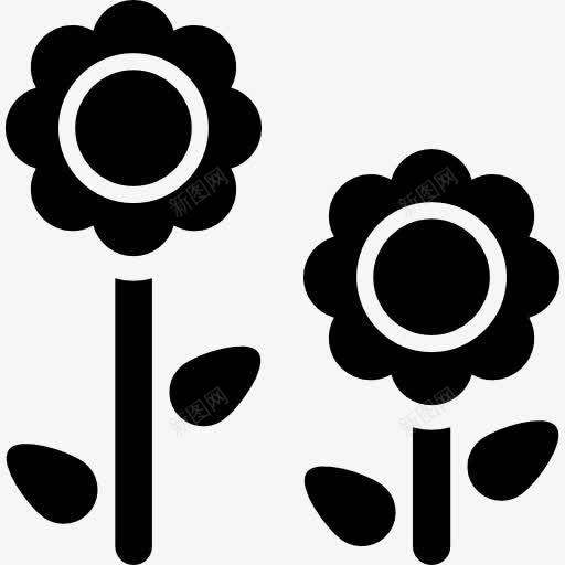 对花图标png_新图网 https://ixintu.com 自然 花 雏菊