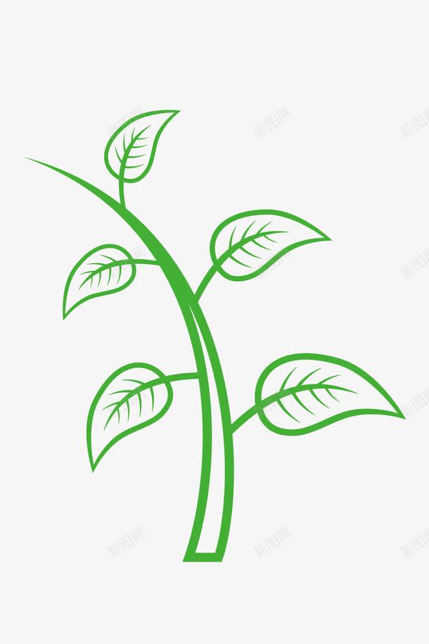嫩芽福鼎白茶枝干png免抠素材_新图网 https://ixintu.com 嫩芽 枝干 白茶 福鼎 福鼎白茶