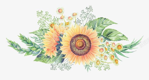 绿叶上的花朵png免抠素材_新图网 https://ixintu.com PNG 手绘 植物 葵花