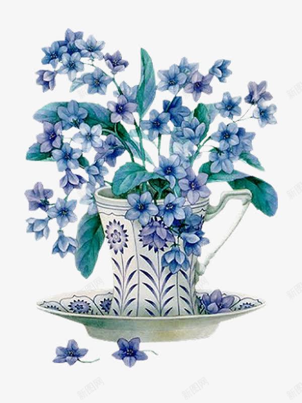 花蓝png免抠素材_新图网 https://ixintu.com 植物 花开