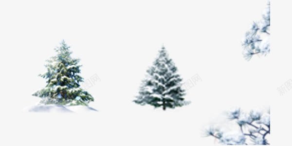 冬季雪中树png免抠素材_新图网 https://ixintu.com 冬季 树 雪