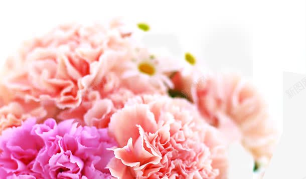 唯美花朵美景装饰意境png免抠素材_新图网 https://ixintu.com 意境 美景 花朵 装饰