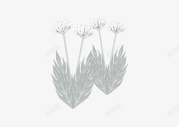 灰白叶子花png免抠素材_新图网 https://ixintu.com 叶子 灰色 白色 线条 花