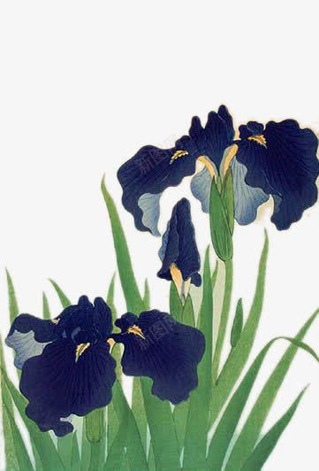 水彩插画蓝花png免抠素材_新图网 https://ixintu.com 卡通手绘 水彩插画 蓝色