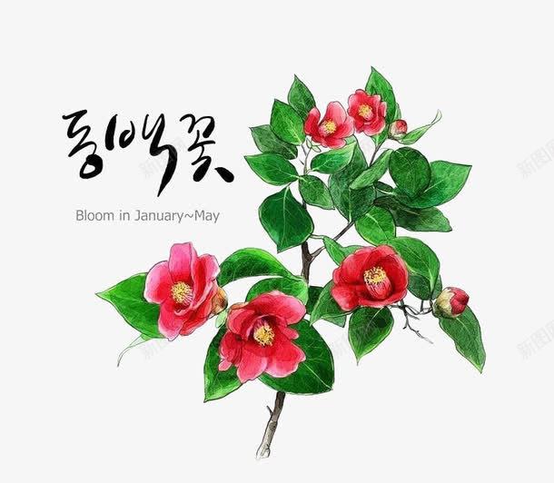 卡通手绘花png免抠素材_新图网 https://ixintu.com 可爱 小清新 手绘 纹理 背景