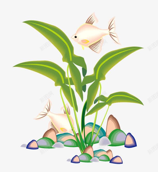 水草装饰和鱼png免抠素材_新图网 https://ixintu.com 水草 绿色 装饰 鱼
