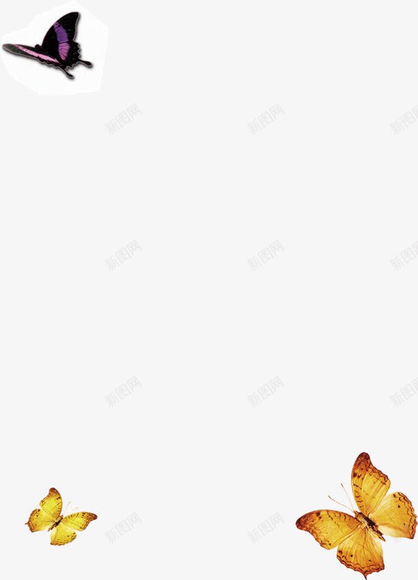 飞舞的蝴蝶png免抠素材_新图网 https://ixintu.com 蝴蝶 飞舞 飞蝶
