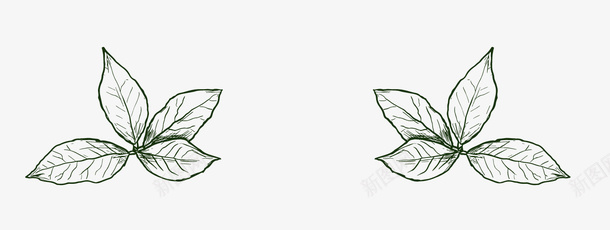 绿色手绘叶子植物png免抠素材_新图网 https://ixintu.com 卡通 手绘叶子 植物 绿色叶子 背景装饰