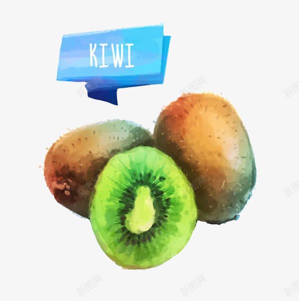 奇异果png免抠素材_新图网 https://ixintu.com 奇异果 手绘 水彩