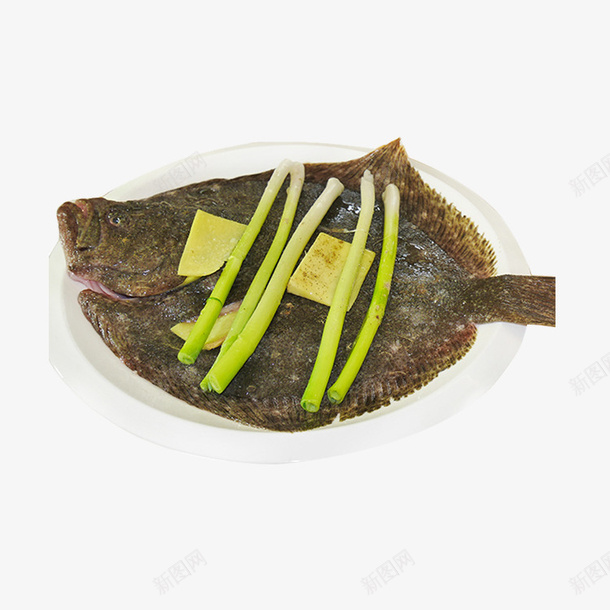 多宝鱼png免抠素材_新图网 https://ixintu.com 动物 吃的 多宝鱼 比目鱼 素材