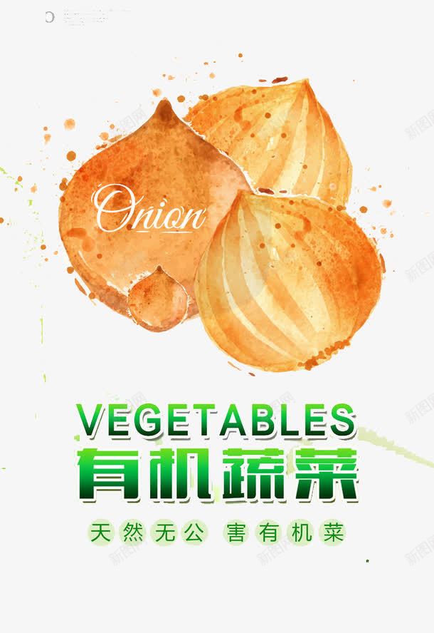 有机蔬菜png免抠素材_新图网 https://ixintu.com 一捆 健康 大葱 有机 蔬菜 食物