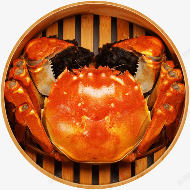 节气清蒸大闸蟹原味png免抠素材_新图网 https://ixintu.com 原味 大闸蟹 清蒸 节气