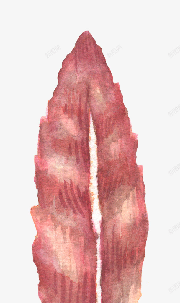 红色羽毛png免抠素材_新图网 https://ixintu.com 动物羽毛 彩色羽毛 水彩羽毛 红色