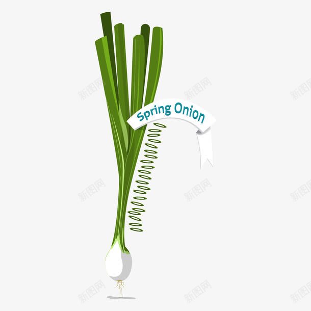 葱png免抠素材_新图网 https://ixintu.com 手绘 葱 蔬菜